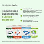 Nootie+ Digestive & Probiotic Gut Chew Supplement for Dogs image 4