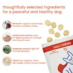 Nootie+ Multivitamin Daily Chews Supplement for Dogs image 3