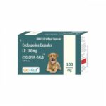 Oriheal Cyclofur Tail (Cyclosporine) 100mg Capsules for Dogs image 2