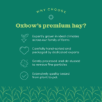 Oxbow Western Timothy Hay Dry Food for Rabbits and Guinea Pigs image 3