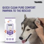 Pawpaya Lavender Wipes for Pets image 3