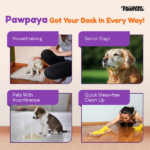 Pawpaya Pee Lock Powder for Dogs and Cats image 3