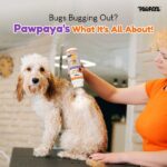 Pawpaya Tick and Flea Powder for Dogs and Cats image 3