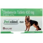 Petcare Petclind 450mg (Clindamycin) Tablet for Dogs image 2