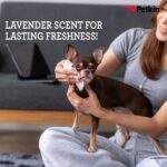 Petkin Gaint Big N' Thick Lavender Scented Petwipes for Dogs and Cats image 3