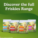 Purina Friskies Meat Adult Dog Dry Food image 4