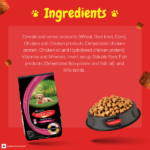 Purina SuperCoat Chicken Smartblend Puppy Dog Dry Food (Up to 12 months) image 3