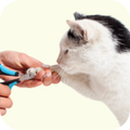 Quality Pet Food & Supplies for Dogs & Cats image 87