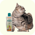 Quality Pet Food & Supplies for Dogs & Cats image 91