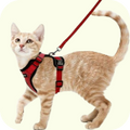 Quality Pet Food & Supplies for Dogs & Cats image 95