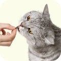 Quality Pet Food & Supplies for Dogs & Cats image 101