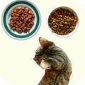 Quality Pet Food & Supplies for Dogs & Cats image 106