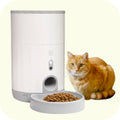 Quality Pet Food & Supplies for Dogs & Cats image 109