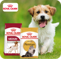 Quality Pet Food & Supplies for Dogs & Cats image 111