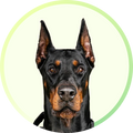 Quality Pet Food & Supplies for Dogs & Cats image 136
