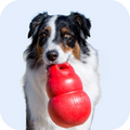 Quality Pet Food & Supplies for Dogs & Cats image 20