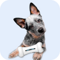Quality Pet Food & Supplies for Dogs & Cats image 23