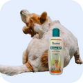 Quality Pet Food & Supplies for Dogs & Cats image 29