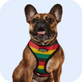 Quality Pet Food & Supplies for Dogs & Cats image 36