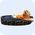 Quality Pet Food & Supplies for Dogs & Cats image 46