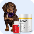 Quality Pet Food & Supplies for Dogs & Cats image 50