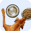 Quality Pet Food & Supplies for Dogs & Cats image 56