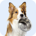 Quality Pet Food & Supplies for Dogs & Cats image 57