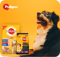 Rena BowJerky Milk Sticks Dog Treats image 21