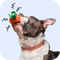 Rena BowJerky Milk Sticks Dog Treats image 7