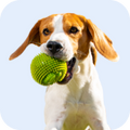 Rena BowJerky Milk Sticks Dog Treats image 9