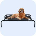 Rena BowJerky Milk Sticks Dog Treats image 15