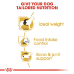 Royal Canin Beagle Adult Dog Dry Food image 3