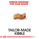 Royal Canin Boxer Adult Dog Dry Food image 3