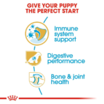 Royal Canin German Shepherd Puppy Dry Food image 3
