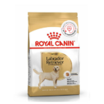 Royal Canin Labrador Retriever Adult Dog Dry Food image 2