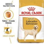 Royal Canin Labrador Retriever Adult Dog Dry Food image 3