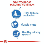 Royal Canin Light Weight Care Adult Gravy Cat Wet Food image 3