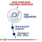 Royal Canin Maxi Adult Dog Dry Food image 3