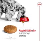 Royal Canin Medium Adult Dog Dry Food image 3