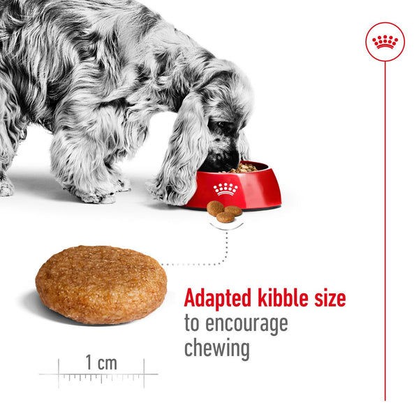 Royal Canin Medium Adult Dog Dry Food