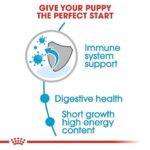 Royal Canin Medium Puppy Dog Dry Food image 3