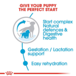 Royal Canin Medium Starter, Mother & Babydog Dry Food image 3