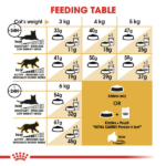 Royal Canin Persian Adult Cat Dry Food image 4