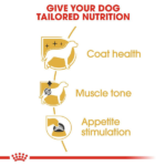 Royal Canin Poodle Adult Dog Dry Food image 3
