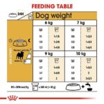 Royal Canin Pug Adult Dog Dry Food image 4
