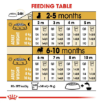 Royal Canin Pug Junior Dog Dry Food image 4