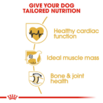 Royal Canin Rottweiler Adult Dog Dry Food image 3