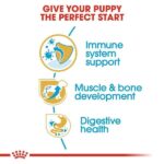 Royal Canin Rottweiler Puppy Dog Dry Food image 3