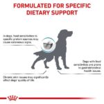 Royal Canin Veterinary Diet Hypoallergenic Dog Dry Food image 3