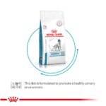 Royal Canin Veterinary Diet Skintopic Dog Dry Food image 3